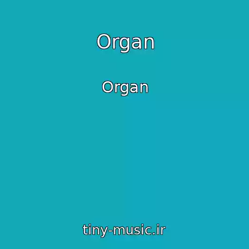 کاور آهنگ Organ از Organ