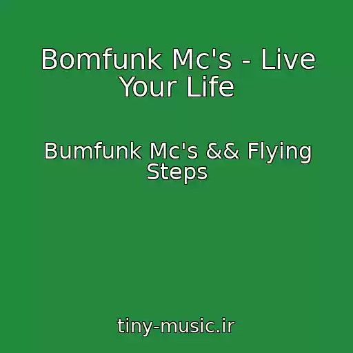 کاور آهنگ Bomfunk Mc's - Live Your Life از Bumfunk Mc's && Flying Steps
