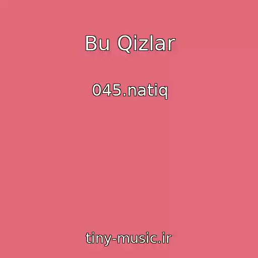 کاور آهنگ Bu Qizlar از 045.natiq