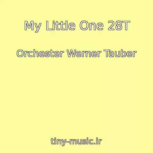 کاور آهنگ My Little One 28T از Orchester Werner Tauber