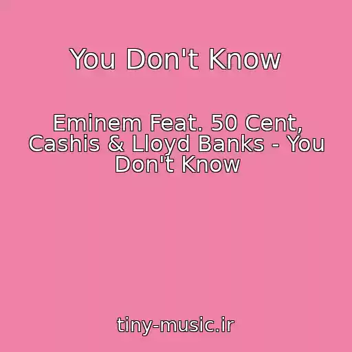 کاور آهنگ You Don't Know از Eminem Feat. 50 Cent, Cashis & Lloyd Banks - You Don't Know