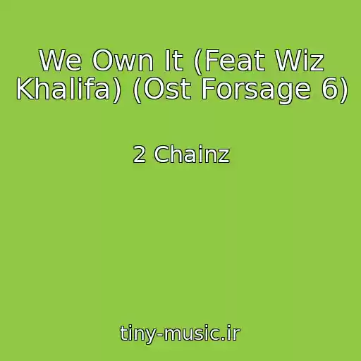 کاور آهنگ We Own It (Feat Wiz Khalifa) (Ost Forsage 6) از 2 Chainz