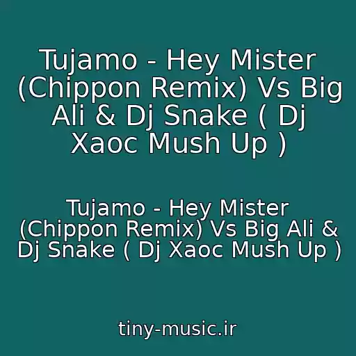 کاور آهنگ Tujamo - Hey Mister (Chippon Remix) Vs Big Ali & Dj Snake ( Dj Xaoc Mush Up ) از Tujamo - Hey Mister (Chippon Remix) Vs Big Ali & Dj Snake ( Dj Xaoc Mush Up )