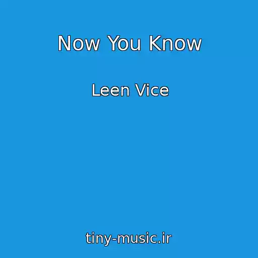 کاور آهنگ Now You Know از Leen Vice