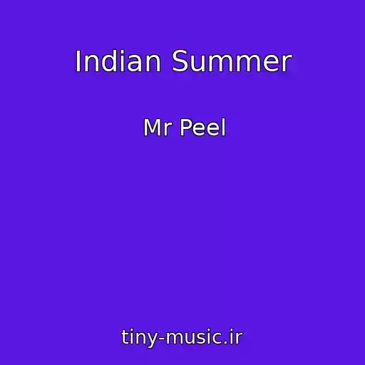 کاور آهنگ Indian Summer از Mr Peel