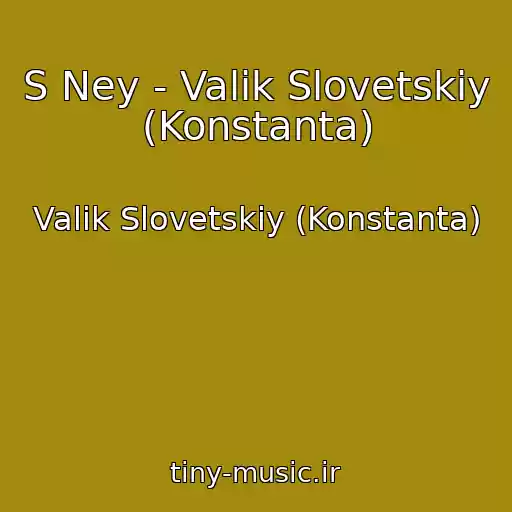 کاور آهنگ S Ney - Valik Slovetskiy (Konstanta) از Valik Slovetskiy (Konstanta)