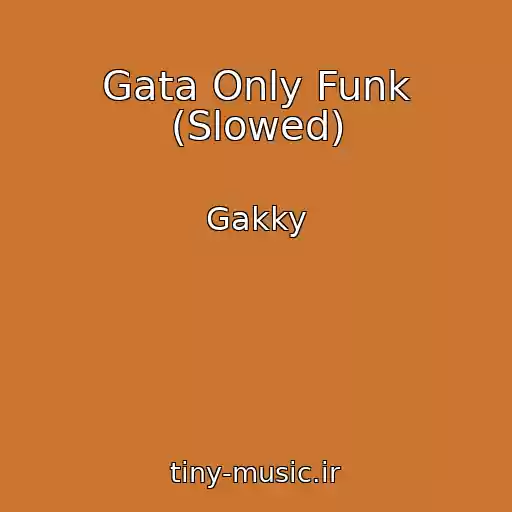 کاور آهنگ Gata Only Funk (Slowed) از Gakky