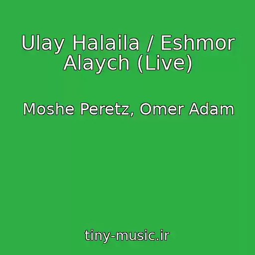 کاور آهنگ Ulay Halaila / Eshmor Alaych (Live) از Moshe Peretz, Omer Adam