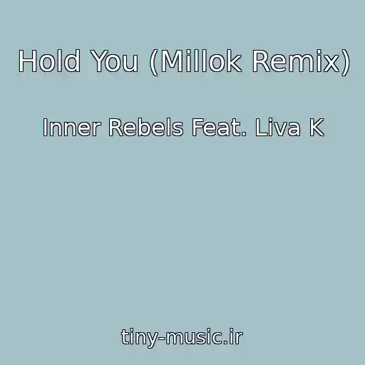 کاور آهنگ Hold You (Millok Remix) از Inner Rebels Feat. Liva K