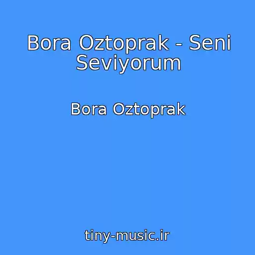 کاور آهنگ Bora Oztoprak - Seni Seviyorum از Bora Oztoprak