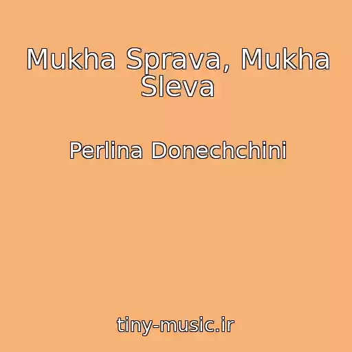 کاور آهنگ Mukha Sprava, Mukha Sleva از Perlina Donechchini
