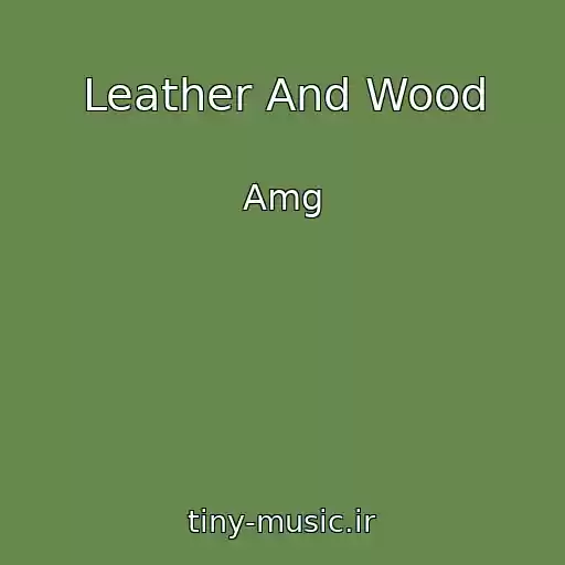 کاور آهنگ Leather And Wood از Amg