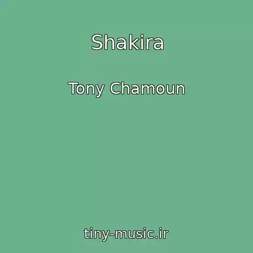 کاور آهنگ Shakira از Tony Chamoun