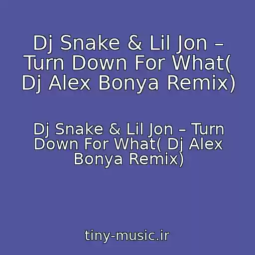 کاور آهنگ Dj Snake & Lil Jon – Turn Down For What( Dj Alex Bonya Remix) از Dj Snake & Lil Jon – Turn Down For What( Dj Alex Bonya Remix)