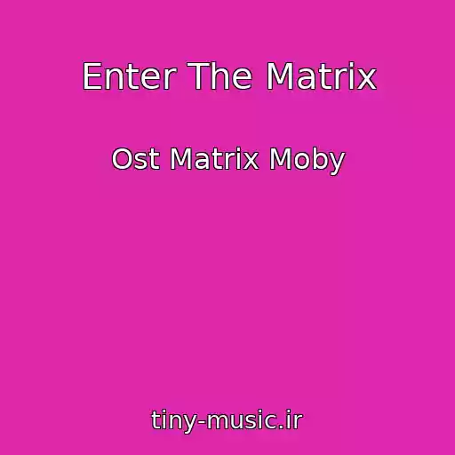 کاور آهنگ Enter The Matrix از Ost Matrix Moby