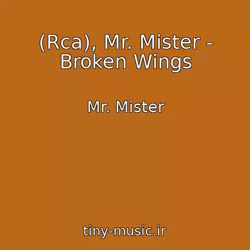 کاور آهنگ (Rca), Mr. Mister - Broken Wings از Mr. Mister