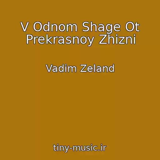 کاور آهنگ V Odnom Shage Ot Prekrasnoy Zhizni از Vadim Zeland