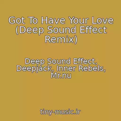 کاور آهنگ Got To Have Your Love (Deep Sound Effect Remix) از Deep Sound Effect, Deepjack, Inner Rebels, Mr.nu