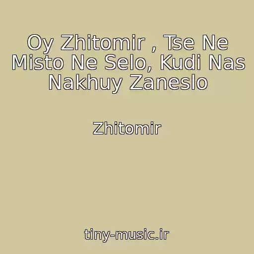 کاور آهنگ Oy Zhitomir , Tse Ne Mіsto Ne Selo, Kudi Nas Nakhuy Zaneslo از Zhitomir
