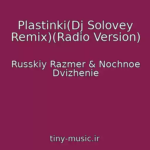 کاور آهنگ Plastinki(Dj Solovey Remix)(Radio Version) از Russkiy Razmer & Nochnoe Dvizhenie