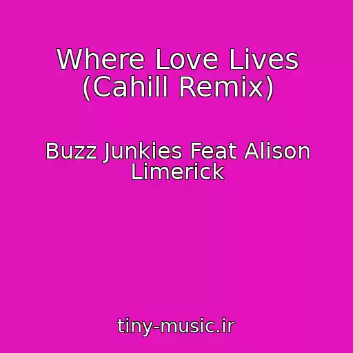 کاور آهنگ Where Love Lives (Cahill Remix) از Buzz Junkies Feat Alison Limerick