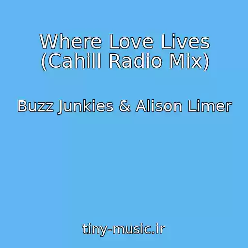 کاور آهنگ Where Love Lives (Cahill Radio Mix) از Buzz Junkies & Alison Limer