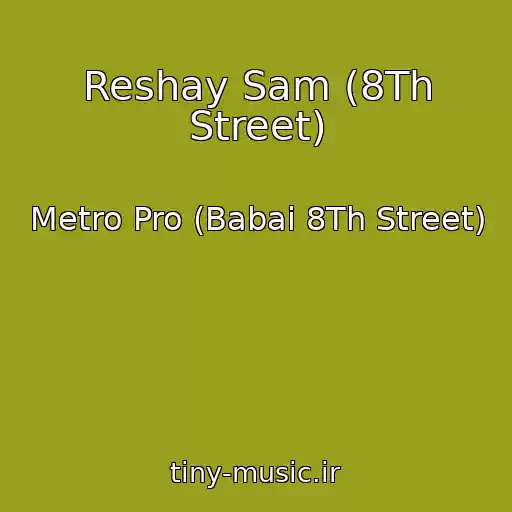کاور آهنگ Reshay Sam (8Th Street) از Metro Pro (Babai 8Th Street)