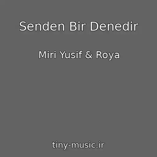 کاور آهنگ Senden Bir Denedir از Miri Yusif & Roya