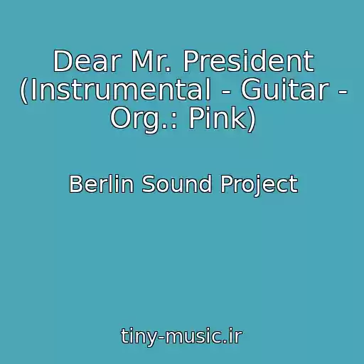 کاور آهنگ Dear Mr. President (Instrumental - Guitar - Org.: Pink) از Berlin Sound Project
