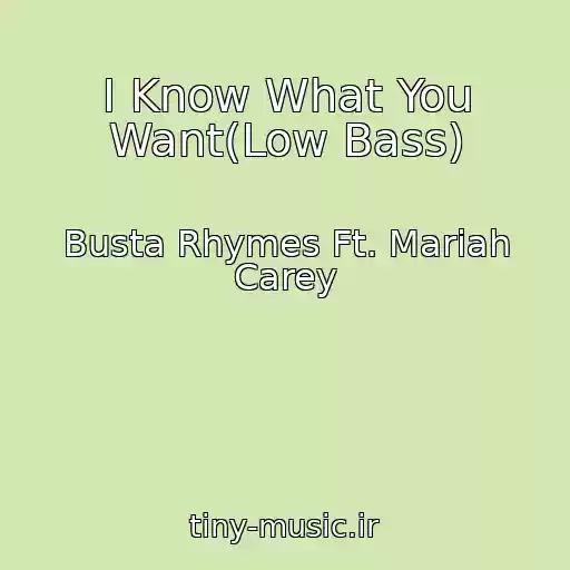 کاور آهنگ I Know What You Want(Low Bass) از Busta Rhymes Ft. Mariah Carey