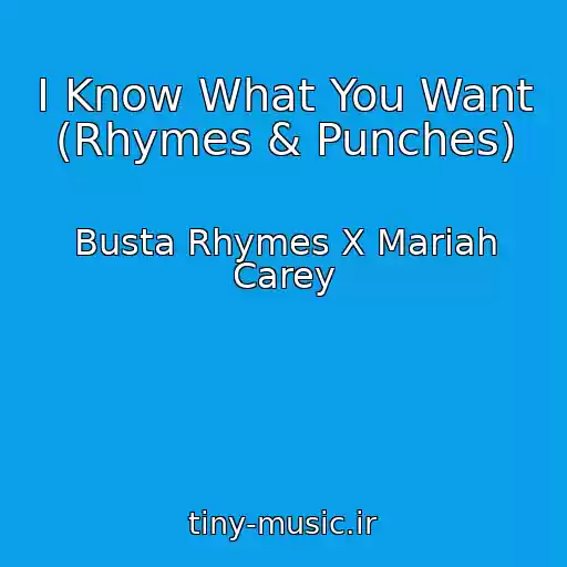 کاور آهنگ I Know What You Want (Rhymes & Punches) از Busta Rhymes X Mariah Carey