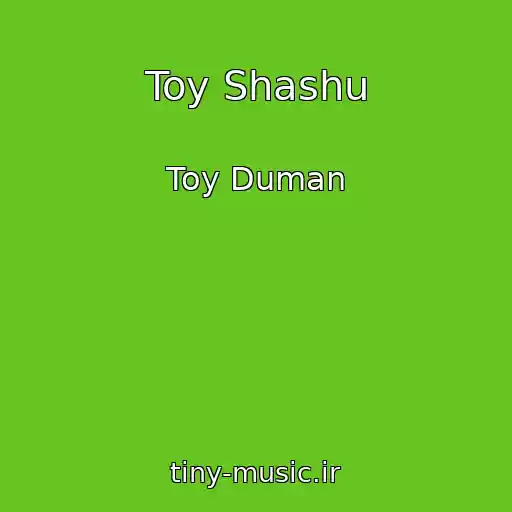 کاور آهنگ Toy Shashu از Toy Duman