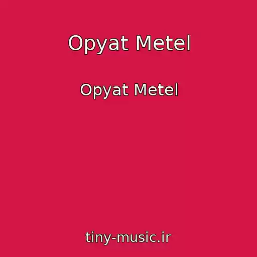 کاور آهنگ Opyat Metel از Opyat Metel