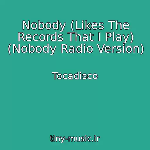 کاور آهنگ Nobody (Likes The Records That I Play) (Nobody Radio Version) از Tocadisco