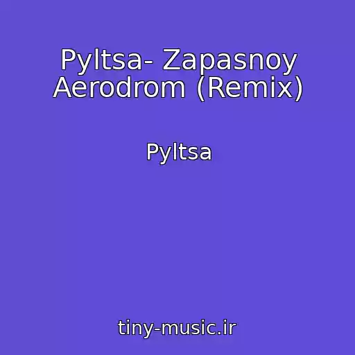 کاور آهنگ Pyltsa- Zapasnoy Aerodrom (Remix) از Pyltsa