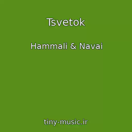 کاور آهنگ Tsvetok از Hammali & Navai