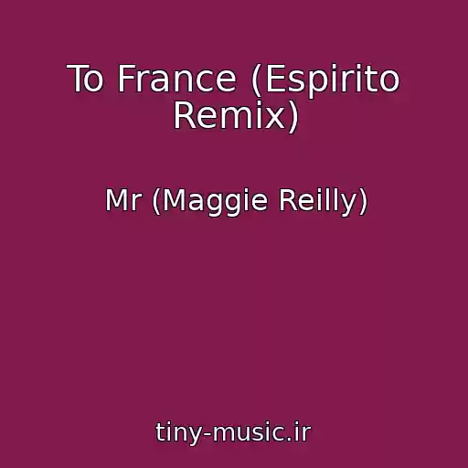 کاور آهنگ To France (Espirito Remix) از Mr (Maggie Reilly)