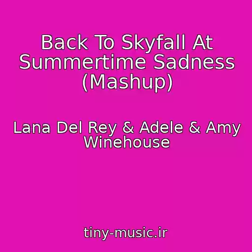 کاور آهنگ Back To Skyfall At Summertime Sadness (Mashup) از Lana Del Rey & Adele & Amy Winehouse