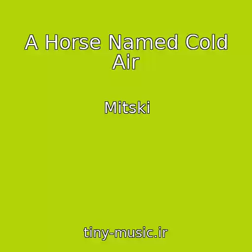 کاور آهنگ A Horse Named Cold Air از Mitski