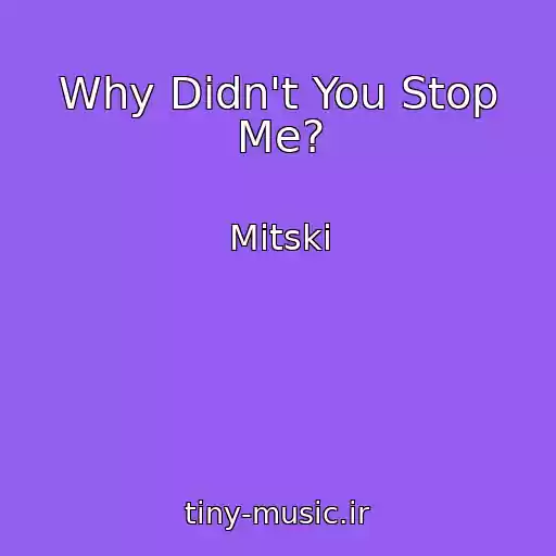 کاور آهنگ Why Didn't You Stop Me? از Mitski