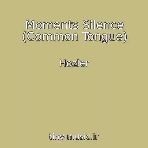 کاور آهنگ Moments Silence (Common Tongue) از Hozier