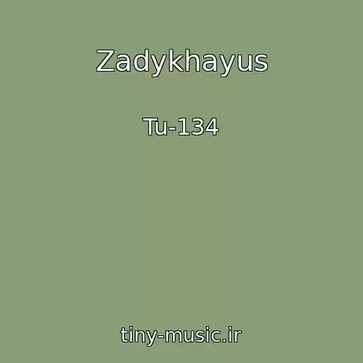 کاور آهنگ Zadykhayus از Tu-134