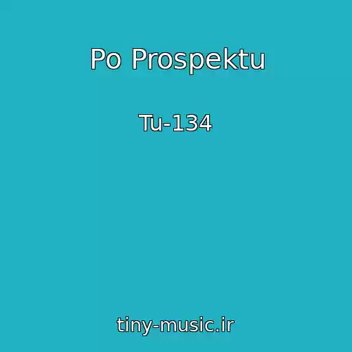 کاور آهنگ Po Prospektu از Tu-134