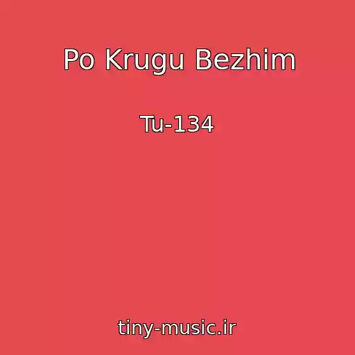 کاور آهنگ Po Krugu Bezhim از Tu-134