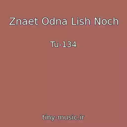 کاور آهنگ Znaet Odna Lish Noch از Tu-134