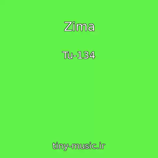 کاور آهنگ Zima از Tu-134
