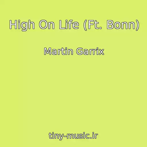 کاور آهنگ High On Life (Ft. Bonn) از Martin Garrix