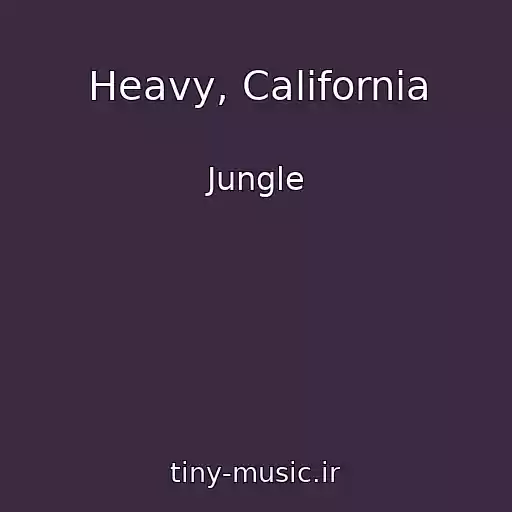 کاور آهنگ Heavy, California از Jungle