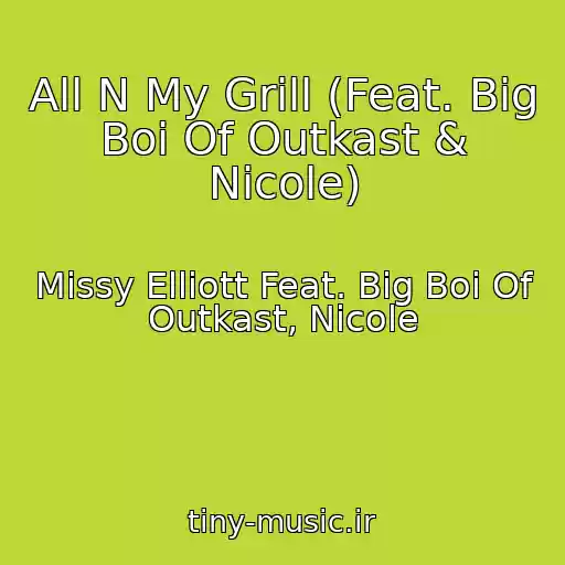 کاور آهنگ All N My Grill (Feat. Big Boi Of Outkast & Nicole) از Missy Elliott Feat. Big Boi Of Outkast, Nicole