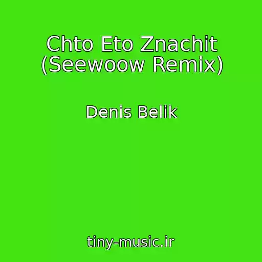 کاور آهنگ Chto Eto Znachit (Seewoow Remix) از Denis Belik
